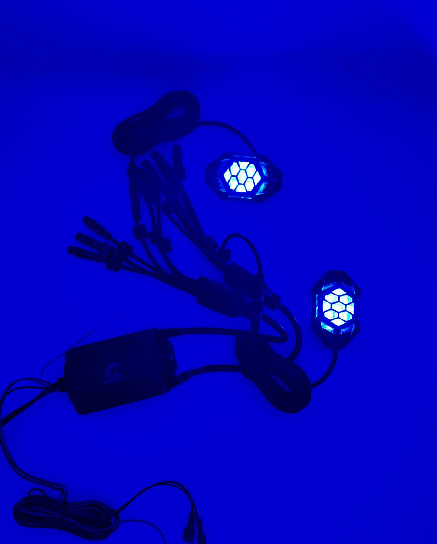 Glow Toad Rock Lights