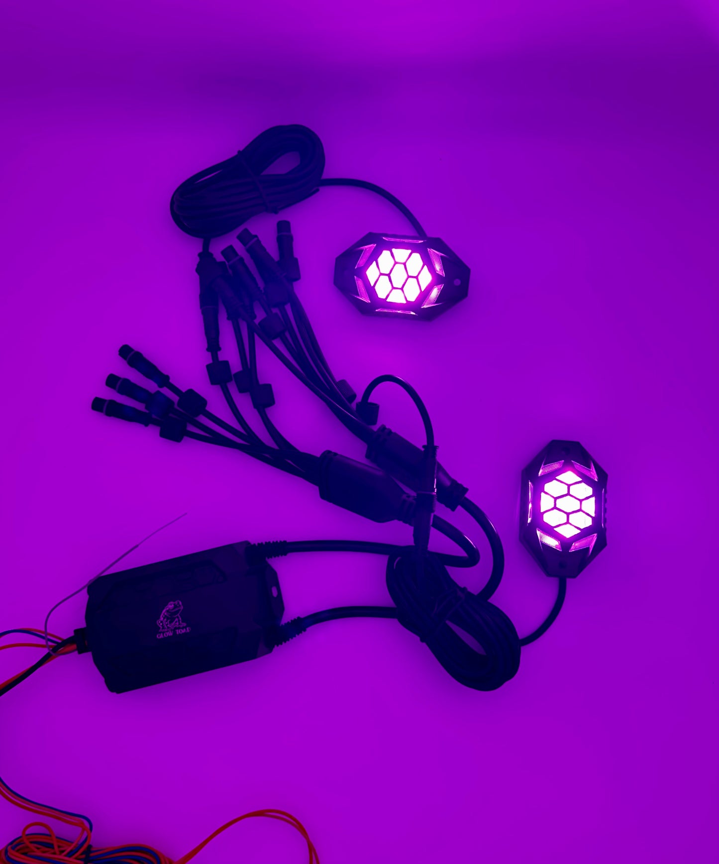 Glow Toad Rock Lights