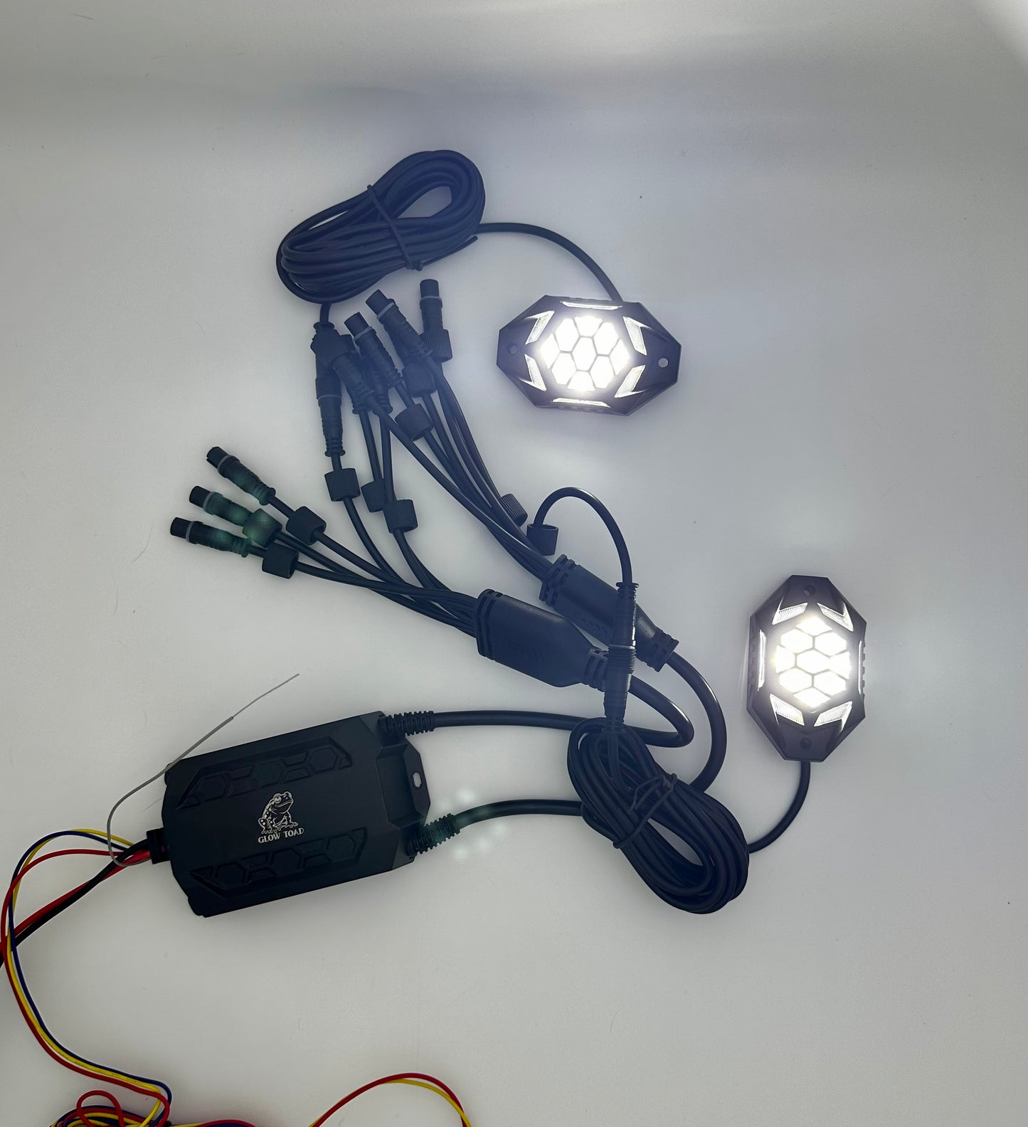 Glow Toad Rock Lights