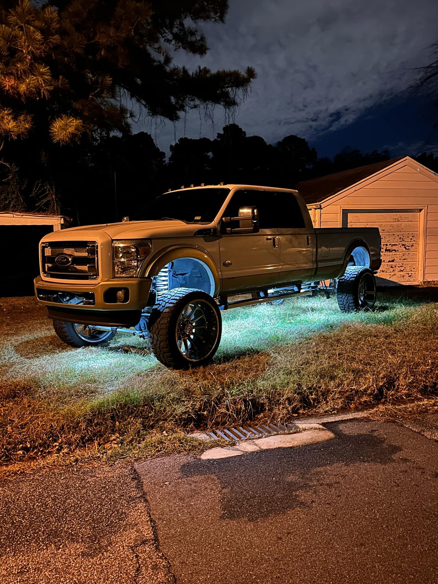 Glow Toad Rock Lights