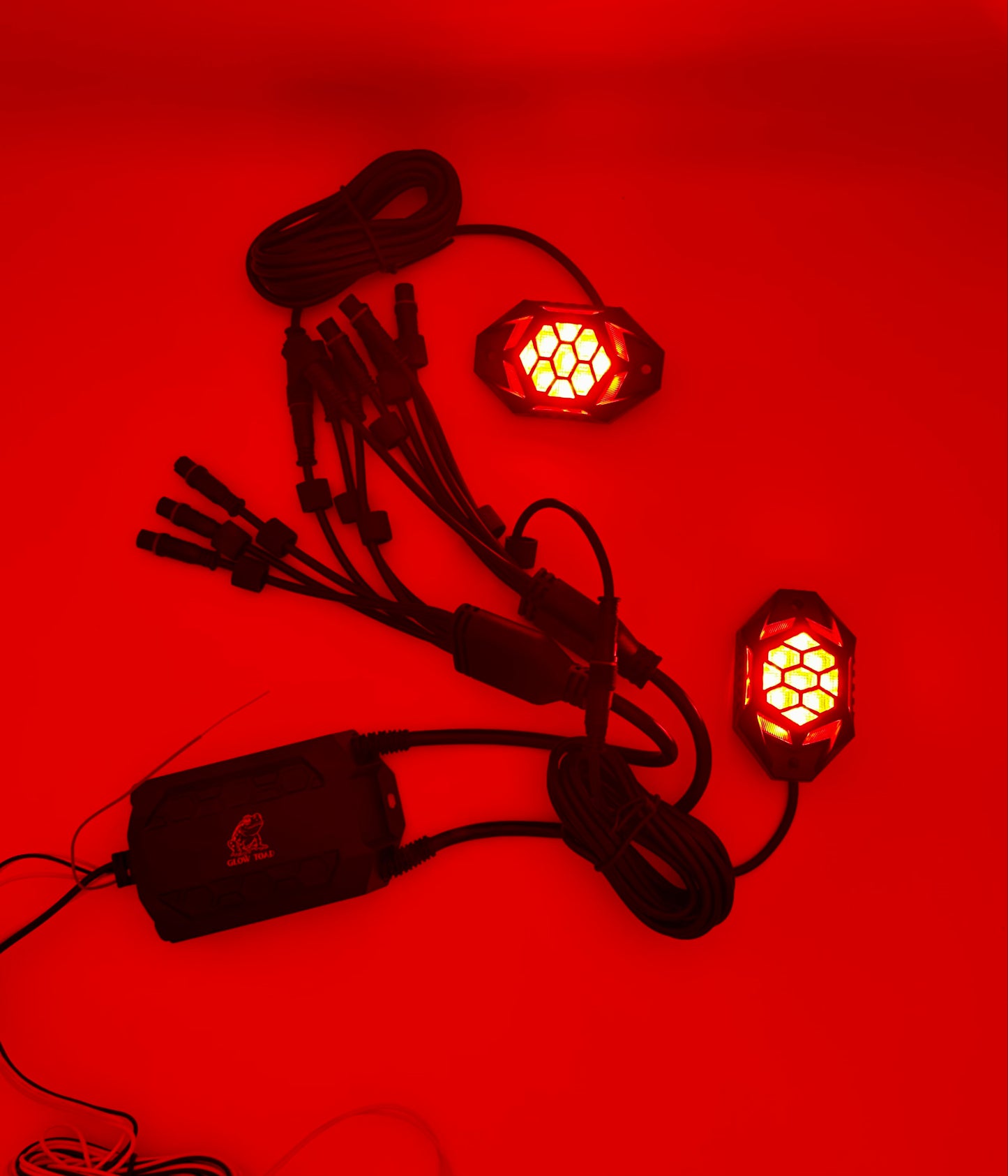 Glow Toad Rock Lights