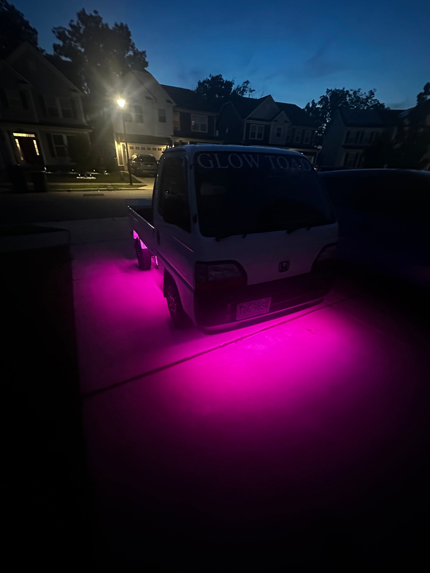 Toad Underglow
