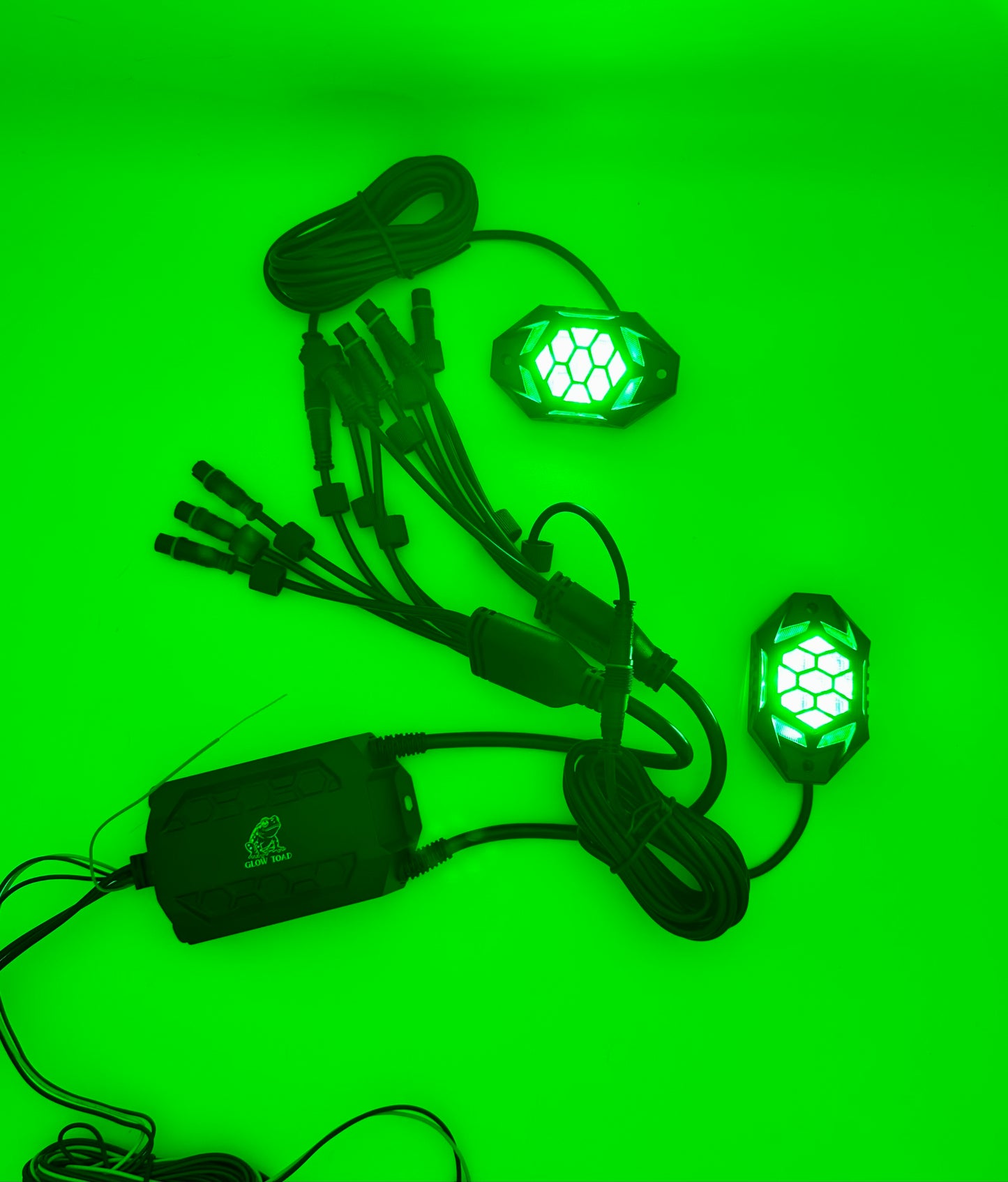 Glow Toad Rock Lights