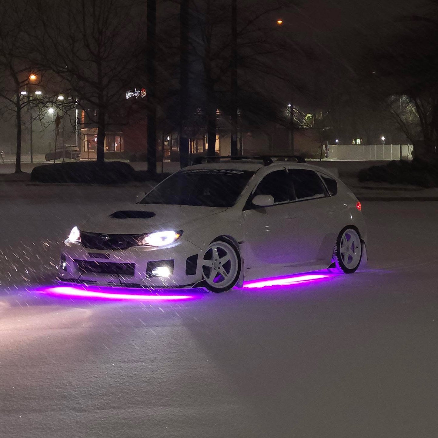 Toad Underglow