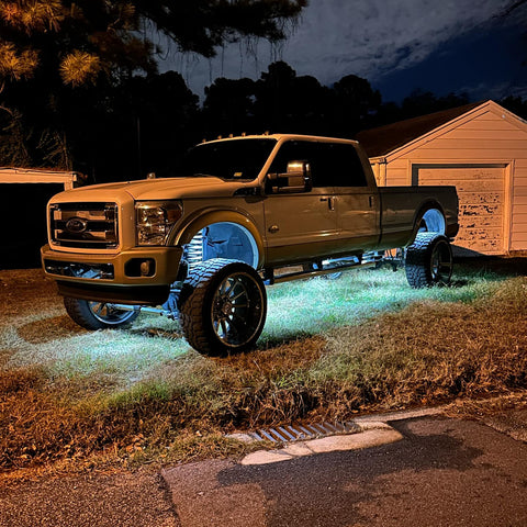 Glow Toad Rock Lights