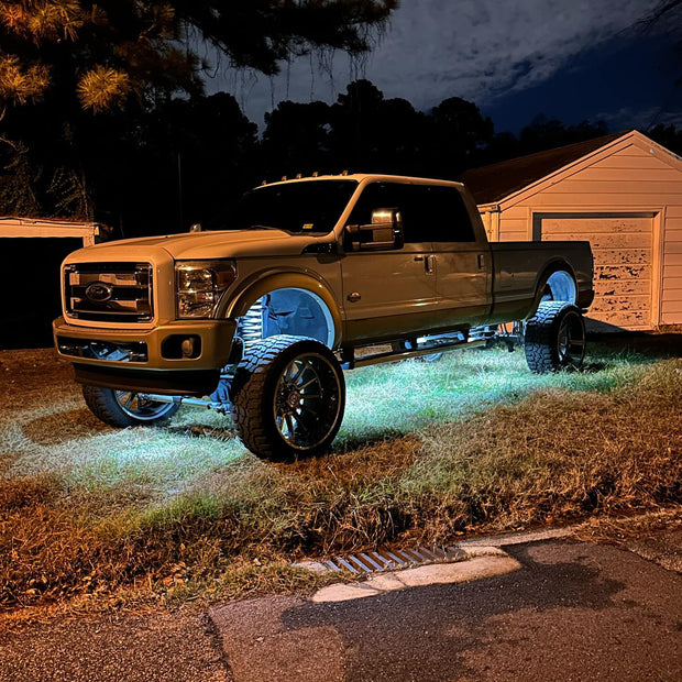 Glow Toad Rock Lights